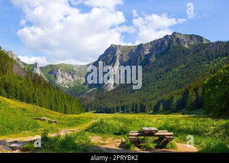 View of the Tatra Mountains from the Wielka Polana Malolacka valley Stock Photo