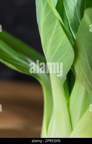 Fresh green bok choy or pac choi chinese cabbage. Side view, close up, macro. Stock Photo