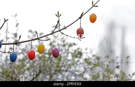 Easter bouquet with colored eggs on a branch Stock Photo