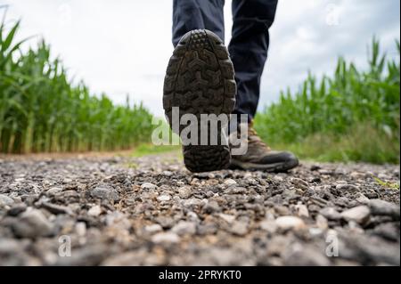 Low angle view of male feet in hiking boots stepping towards camera on a gravel country road. Stock Photo