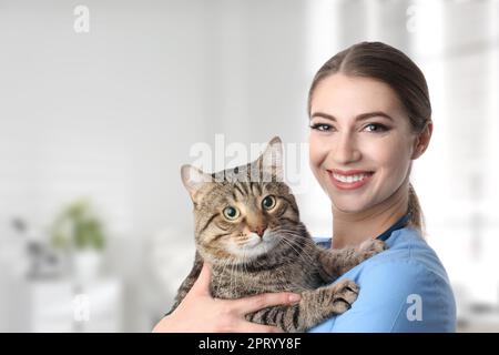 Veterinarian doc with cute cat in clinic Stock Photo