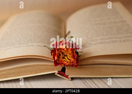 Book with beautiful dried flower on wooden table, closeup Stock Photo