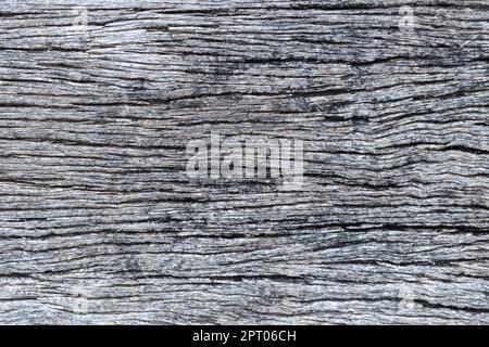 Old grey wood board. Rustic wood background. Stock Photo