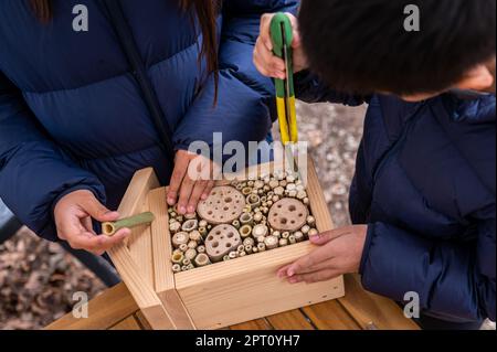 People making wooden insect house. Hands of child making wooden insect hotel. Environment protection and sustainability. Stock Photo