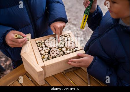 People making wooden insect house. Hands of child making wooden insect hotel. Environment protection and sustainability. Stock Photo