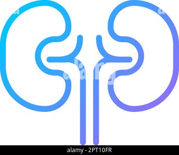 Kidneys pixel perfect gradient linear vector icon Stock Vector