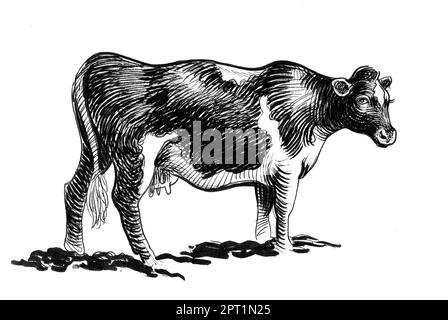 Standing cow. Hand-drawn ink on paper black and white drawing Stock Photo