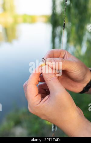 Old man fishing. Senior gray haired fisherman throws a spinning from  shoreside at sunset, twisting a coil. Positive elderly male angling at  lake, rota Stock Photo - Alamy