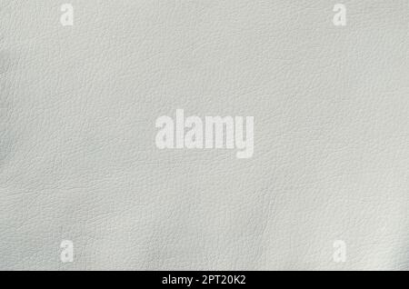 White leather texture background. Blank material made from animal skin for furniture Stock Photo