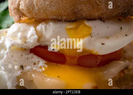 Fried egg sandwich on English muffin. Macro shot. Stock Photo