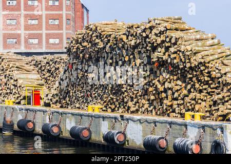 A stack of wood in a port Stock Photo