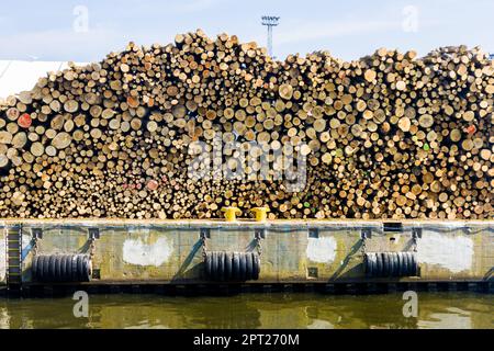 A stack of wood in a port Stock Photo