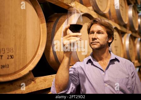 He appreciates a fine wine. a man holding up a glass of wine in a cellar Stock Photo