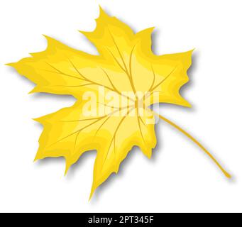 Autumn maple leaf. Fall leaf with shadow. Vector illustration Stock ...
