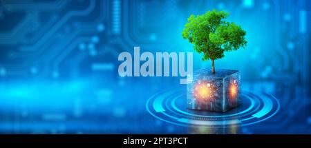 Tree growing on Circuit Digital Cube. Digital and Technology Convergence. Blue light and Wireframe network background. Green Computing, Green Technolo Stock Photo
