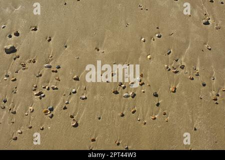 Smooth sandy beach with scattering of pebbles. Stock Photo