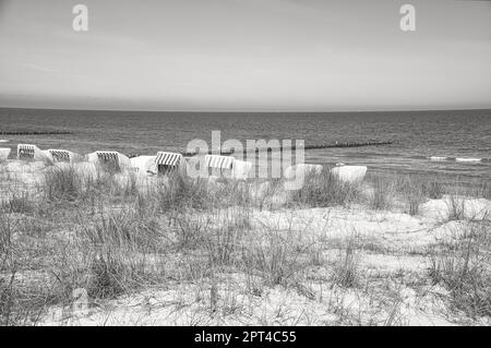 Beach chairs in black and white on the beach of Zingst on the Baltic Sea. Vacation with sunshine and sea. Taken behind the dunes. Stock Photo