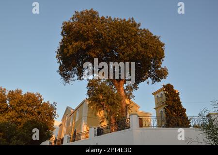 Traditional architecture of Theologos village on the island of a the Rhodes in Greece Stock Photo