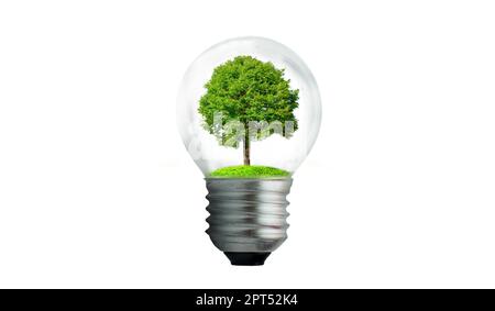 The bulb is located on the inside with leaves forest and the trees are in the light. Concepts of environmental conservation and global warming plant g Stock Photo