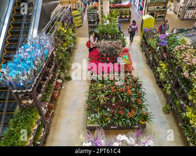 Gardening department in the Home Depot store in Chelsea in New York on Tuesday, April 25, 2023. (© Richard B. Levine) Stock Photo