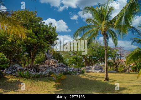 Playacar Mayan ruins in the forest park in Playa del Carmen, Yucatan, Mexico. Stock Photo