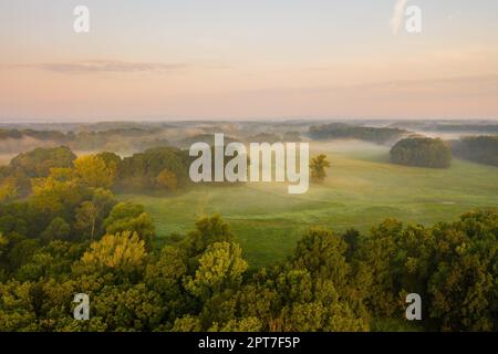 Riparian forest with morning mists from aerial perspective. Natural scenery with trees, meadow and fog at sunrise from above. Fresh summer country wit Stock Photo