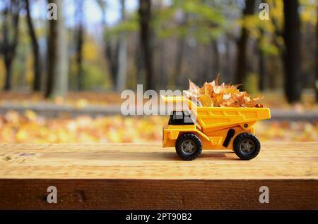 A small toy yellow truck is loaded with yellow fallen leaves. The car stands on a wooden surface against a background of a blurry autumn park. Cleanin Stock Photo