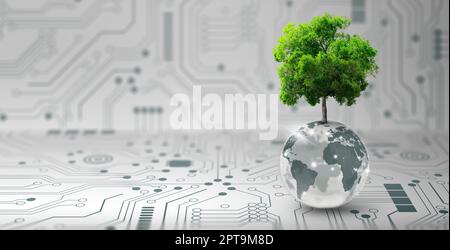 Tree growing on crystal globe. Digital Convergence and and Technology Convergence. Blue light, binary and network background. Green Computing, Green T Stock Photo