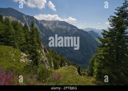 The beautiful mountain world on the German-Austrian border Stock Photo