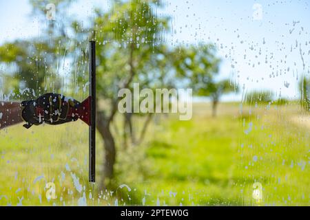 Professionell window cleaning Service with squeegee on a sunny Day Stock Photo