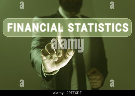 Text sign showing Financial Statistics, Word Written on Comprehensive Set of Stock and Flow Data of a company Stock Photo