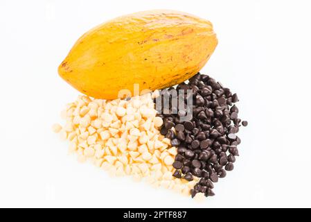 Fresh Cocoa Pod over white background Stock Photo
