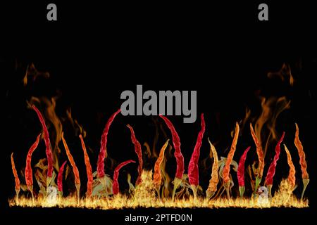 Composite image of hot chilli pepper and fire flames on black background Stock Photo