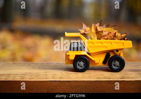 A small toy yellow truck is loaded with yellow fallen leaves. The car stands on a wooden surface against a background of a blurry autumn park. Cleanin Stock Photo