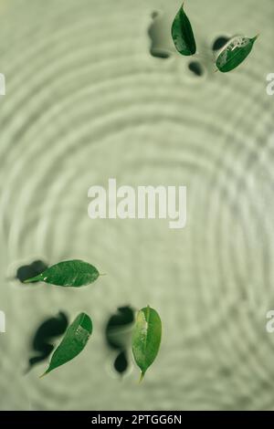 Small leaves of Ficus Benjamin lie on rippled transparent fresh green water gel with flecks, waves, shadow. Concentric expanding circles on surface fr Stock Photo