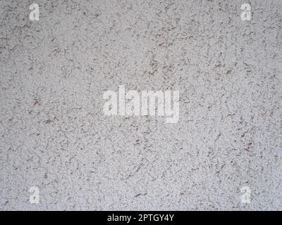 light grey plaster texture useful as a background Stock Photo