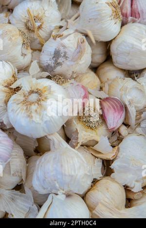 Spanish pink garlic bulbs. Displayed at street market stall Stock Photo