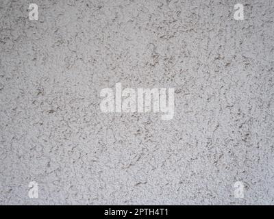 light grey plaster texture useful as a background Stock Photo