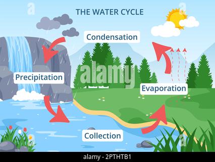 Water Cycle of Evaporation, Condensation, Precipitation to Collection ...