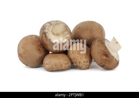 Fresh Baby Bella or Cremini whole mushrooms isolated on white background Stock Photo