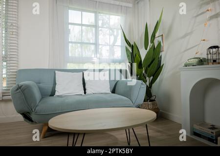 Minimal living room interior with comfortable modern green sofa near window at home sunny day, Apartment furnished empty white wall Stock Photo