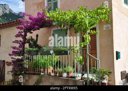 Flowery terrace in the village of Revest les Eaux Var Stock Photo