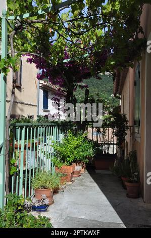 Flowery terrace in the village of Revest les Eaux Var Stock Photo