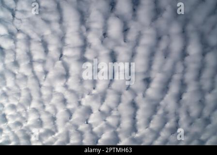White mackerel clouds against blue sky in daylight Stock Photo