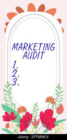 Writing displaying text Marketing Audit, Word Written on examination and analysis of the marketing activities Stock Photo