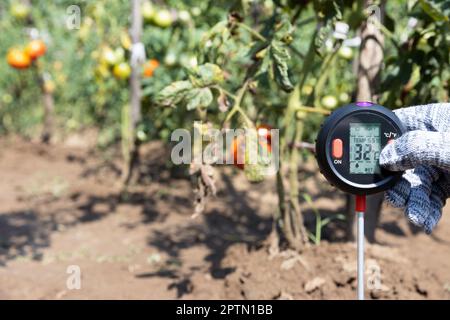 Soil temperature, moisture content and environmental humidity measurement in a vegetable garden. Global warming concept. Stock Photo