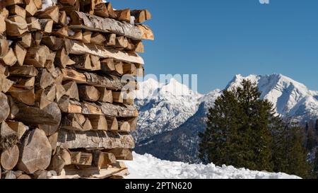 Stack of wood on a snowy meadow in the mountains (Austrian Alps) Stock Photo