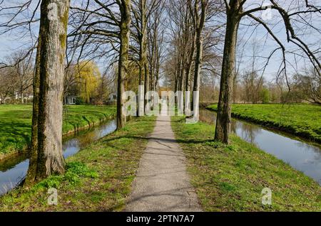 Straight gravel footpath with on aboth sides a row of trees, a ditch and a meadow, near Rhoon, The Netherlands Stock Photo