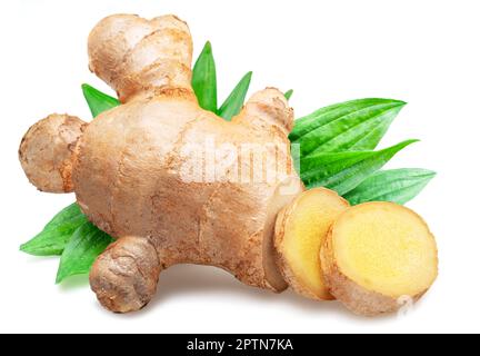 Ginger root and round slices of ginger root isolated on white background. Stock Photo