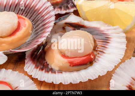 Group of fresh opened scallop with lemon slice close up. Stock Photo